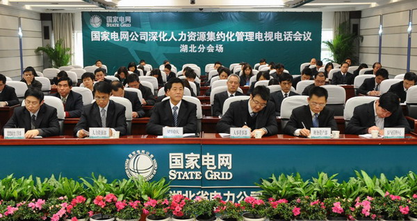 收入证明_湖北省电力公司收入(2)